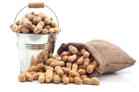 Peanut in a bucket on a white background