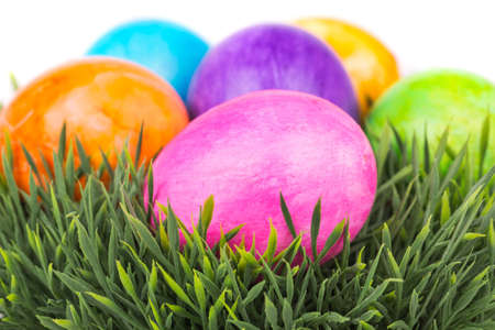 Easter eggs  on a background of grass