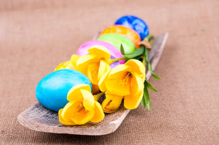 Colorful painted easter eggs on the wood  boardの写真素材