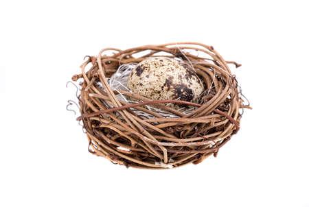Nest with quail eggs on a white background
