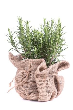 rosemary in bag on a wooden backgroundの写真素材