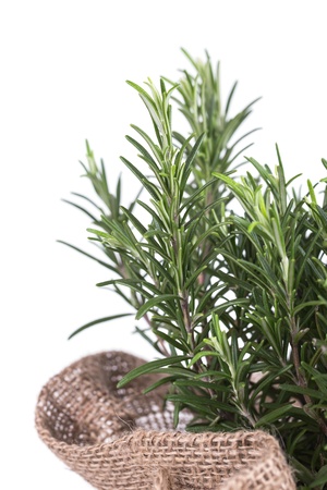 rosemary in bag on a wooden backgroundの写真素材