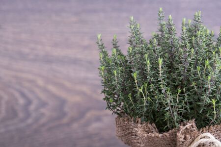 Tyhme in bag on a wooden backgroundの写真素材