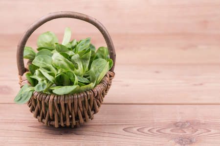 Fresh vegetables with tomatos on a wooden  backgroundの写真素材