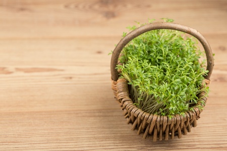 Fresh green watercress on a  wooden backgroundsの写真素材