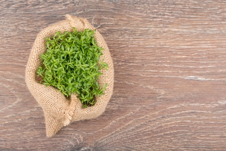 Fresh green watercress on a  wooden backgroundsの写真素材