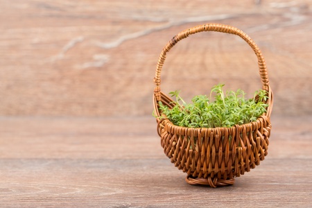 Fresh green watercress on a  wooden backgrounds