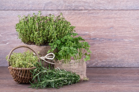 Fresh herbs in basket  on wooden backgroundの写真素材