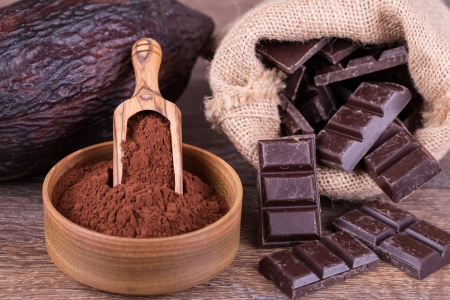 cocoa fruit with chokolate on a white backgroundの写真素材