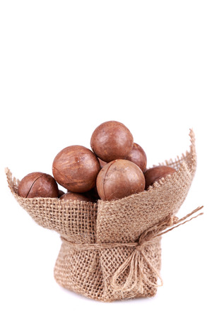 brown macadamia nuts seed on white backgroundの写真素材
