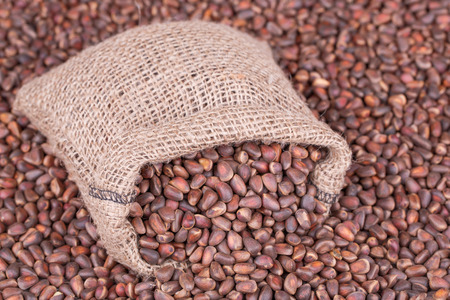 Pine Nuts in Bag  On Background of Pine Nutsの写真素材