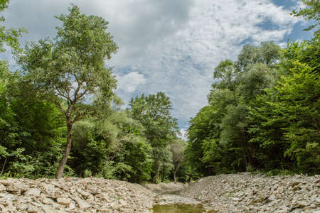 landscape with mountain trees and a riverの写真素材