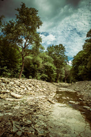 landscape with mountains trees and a riverの写真素材