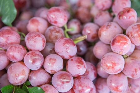 Rosa grape fruit as background