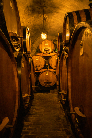 Wine barrels in wine-vaults in Italy