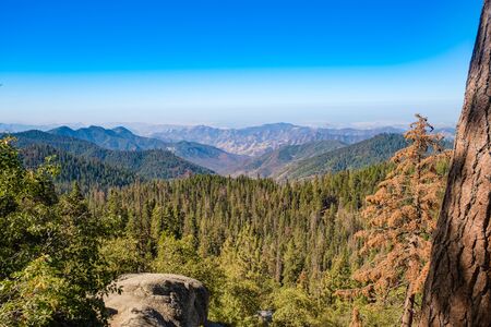 Sequoia National Park in California, USA