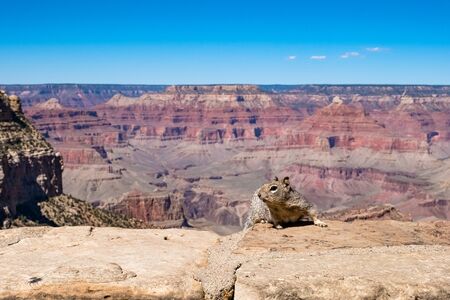 Grand Canyon National Parkの写真素材