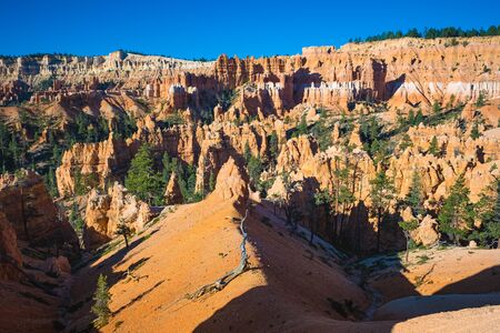 Bryce Canyon National Park, Utah, USAの写真素材