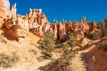 Bryce Canyon National Park, Utah, USAの写真素材