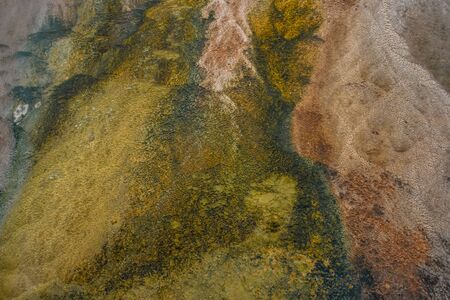 Colorful bands of thermophilic bacteria in Yellowstone National Park, Wyoming
