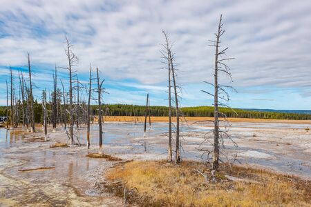 Yellowstone National Park in Wyomingの写真素材