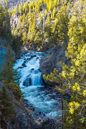 Yellowstone National Park - madison River, USA