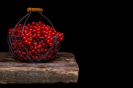 Red currant in a metal basket on black background.の写真素材