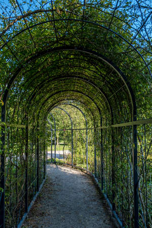 Alley of trees and flower in the Schwerin parkの写真素材