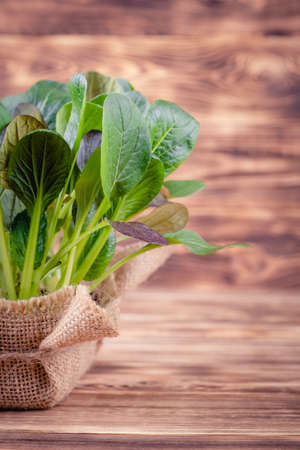 Fresh salad leaves in a wooden bowl on rustic wooden background