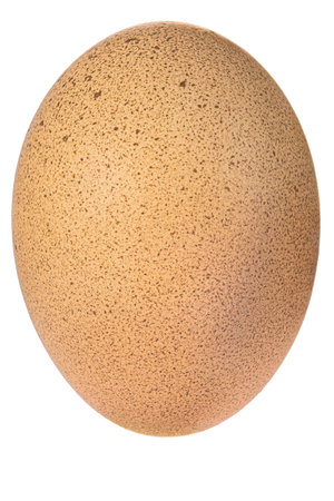 Fresh chicken brown eggs isolated on a white background.