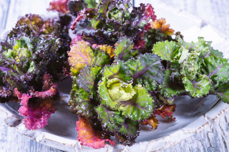 Fresh, healthy, colorfull Kalettes flower sprout on a wooden background.の写真素材