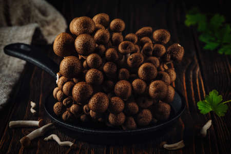 Fresh raw organic Brown Shimeji mushroom on wooden background.の写真素材