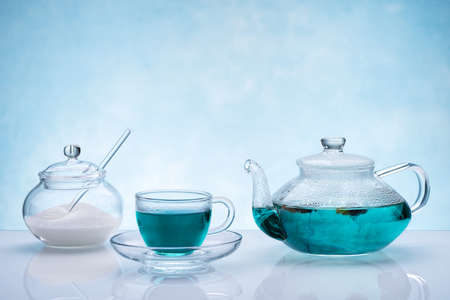Blue butterfly pea flower tea on blue background.の写真素材