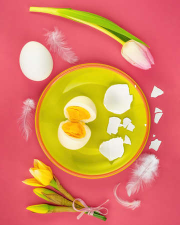 Beautiful spring nature background with eggs, blossom and feather a on pink background