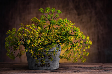 Aluminum cup with a bouquet of dill inflorescences on a dark background on a wooden tableの写真素材