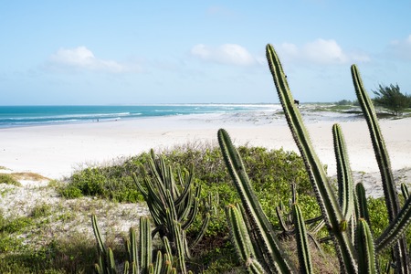 Beautiful coastline of Arraial do Cabo in summertime, Rio de Janeiro, Brazilの写真素材