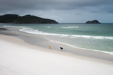Beautiful coastline of Arraial do Cabo in summertime, Rio de Janeiro, Brazilの写真素材