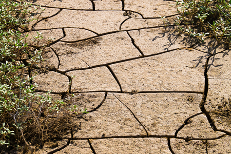 Dry cracked clay soil, texture background, Peruの写真素材