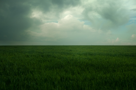 dark green lea under dark blue sky の写真素材