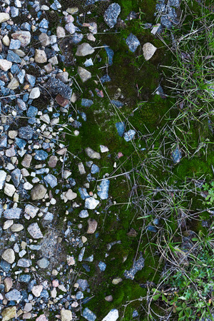 Background Of Green Moss. Seamless Tileable Texture.の写真素材
