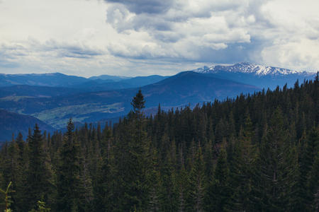 landscape in mountains Carpathians Ukraine, Dragobratの写真素材