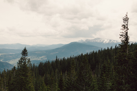 landscape in mountains Carpathians Ukraine, Dragobratの写真素材