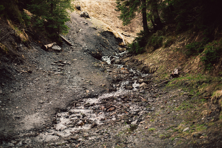 mountain stream in spring Rural view i spring timeの写真素材
