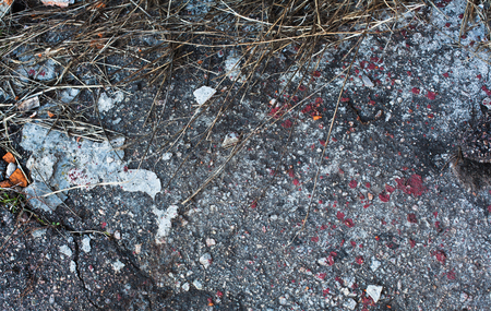 Texture of Cracks on asphalt backgroundの写真素材