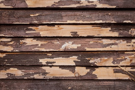 The brown old wood texture with knot and cracked oil paintの写真素材