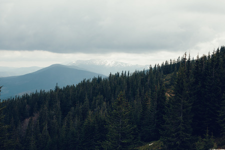 landscape in mountains Carpathians Ukraine, Dragobrat Horizontal imageの写真素材