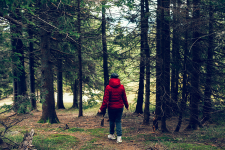 Rear view of young woman in casual clothes standing Adventure, travel, tourism, freedom concept.の写真素材