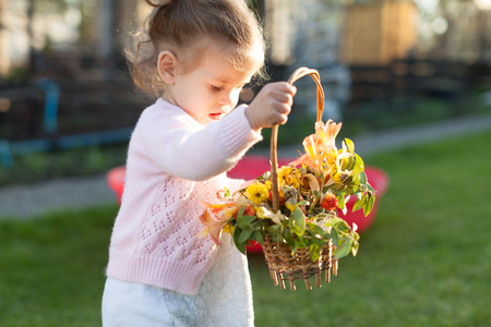 soft focus photo of little curly girl with two tails walking in the backyard on the green grass playing with a basket of flowers Dressid in pink blouseの写真素材