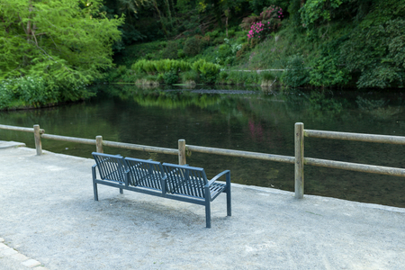 metall bench on the lake shore, on a background of green forest.