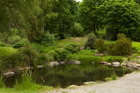 Beautiful Alley In Park. Garden Landscaping Design Conceptの写真素材